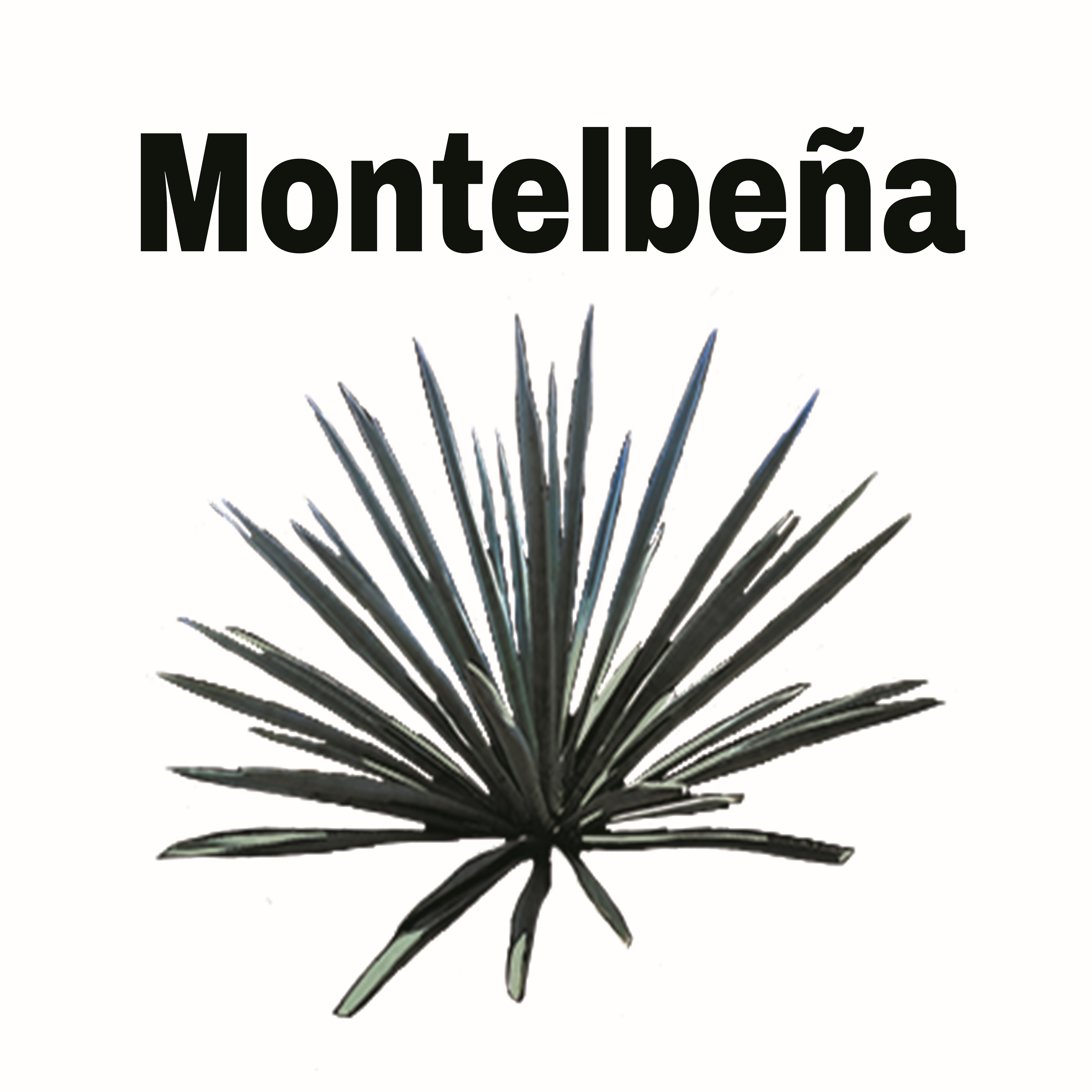 mezcalmontelbena